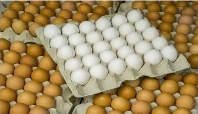 انخفاض تاريخي لسعر طبق البيض في السعودية 